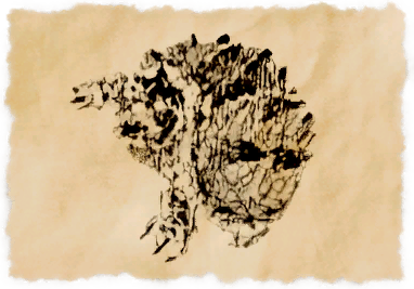 File:Alligator snapping turtle.png