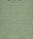 File:Pastel Green.png