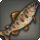 Calico trout icon1.png