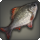 Fishy fish icon1.png