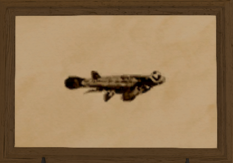 File:Four-eyed Fish print.png