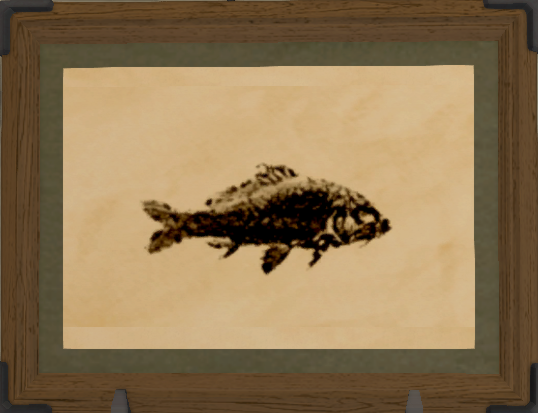 File:Xenocypris print.png