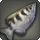 Archerfish icon1.png