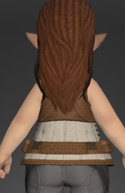 File:Initiate's Doublet Vest 3.png
