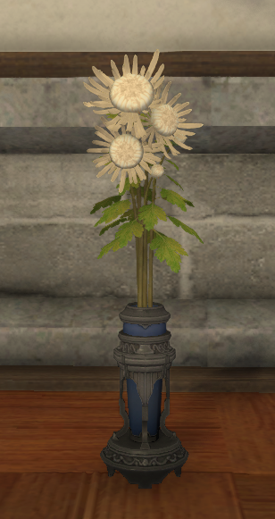 File:White Chrysanthemums.png