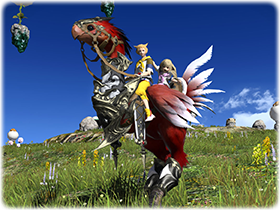 Amber Draught Chocobo img1.png