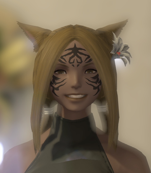 File:Big Grin example.png