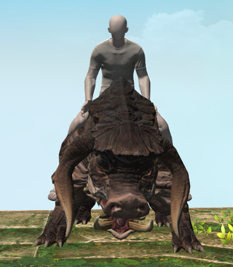 File:Calydontis front.jpg