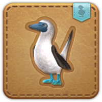Blue-footed booby icon3.png
