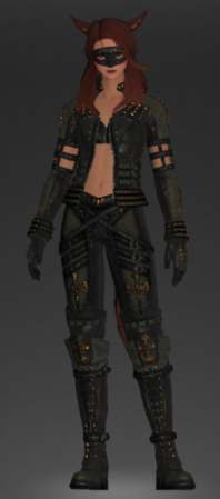 Light-heavy Armor / Dark Horse Champion's Armor