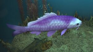 Violet-Prismfish Aquarium.jpg