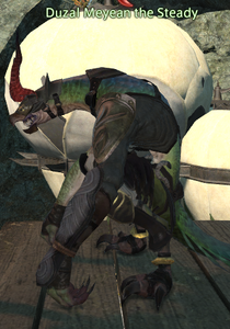 Duzal Meyean the Steady