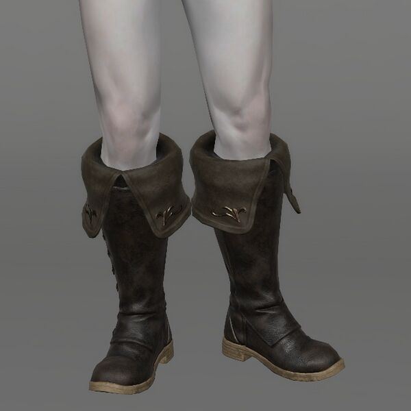 File:Successor's Highboots Male.jpeg