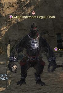 Cindersoot Pegujj Chah