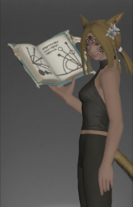 Dhalmelskin Grimoire inside.png