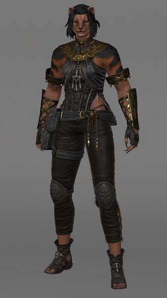 File:Hrothgar Attire F Female.jpeg
