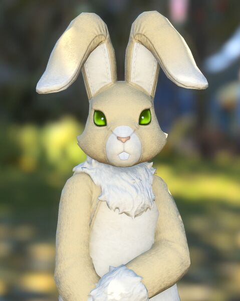 File:Rabbit of Reason.jpeg