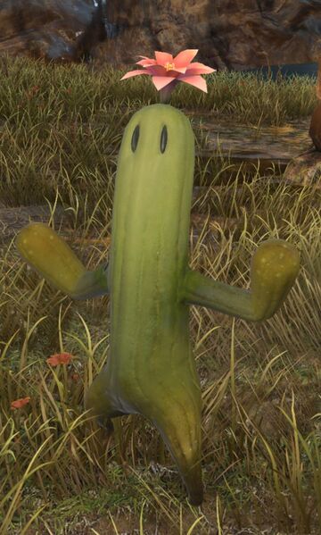 File:Territorial Flowertender.jpg
