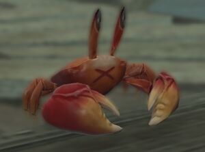 Crabe de la crabe1.jpg