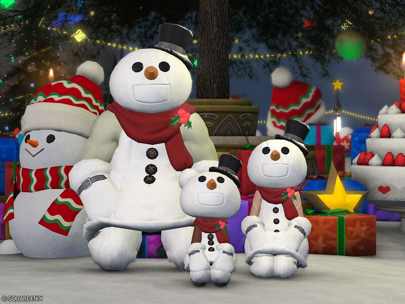 File:Snowman Attire5.jpg