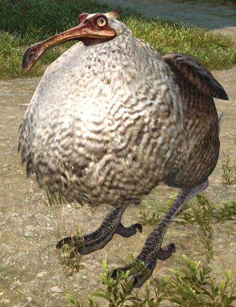 File:Stray Dodo.jpg