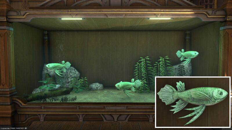 File:Aquarium Preview Queensgown.jpg