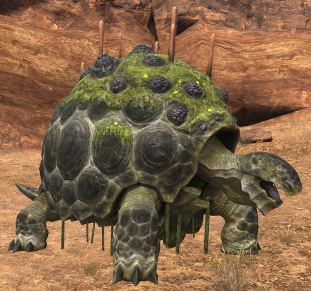 File:Gil Turtle.jpg