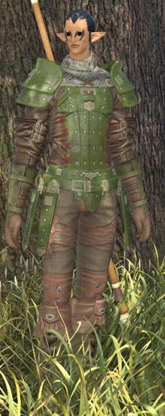 File:Wood Wailer Lance fullbody.jpg