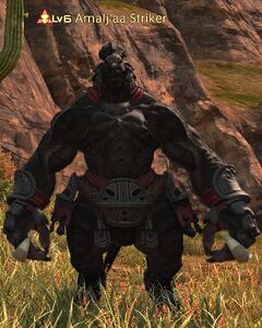 Amalj'aa Striker