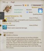 Pugil