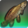 Swampsucker bowfin icon1.png