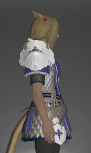 Valor Surcoat right side.png