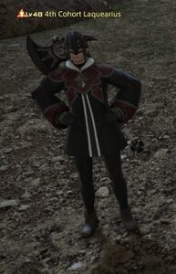 4th Cohort Laquearius