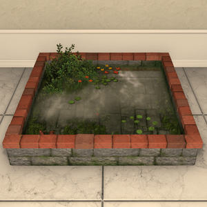 Indoor Pond