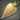 Island Parsnip