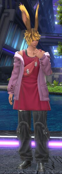 File:Reminiscent Customer fullbody.jpg