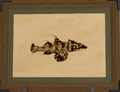 Thumbnail for version as of 05:48, 31 May 2026