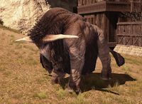 Kholusian-bison.jpg