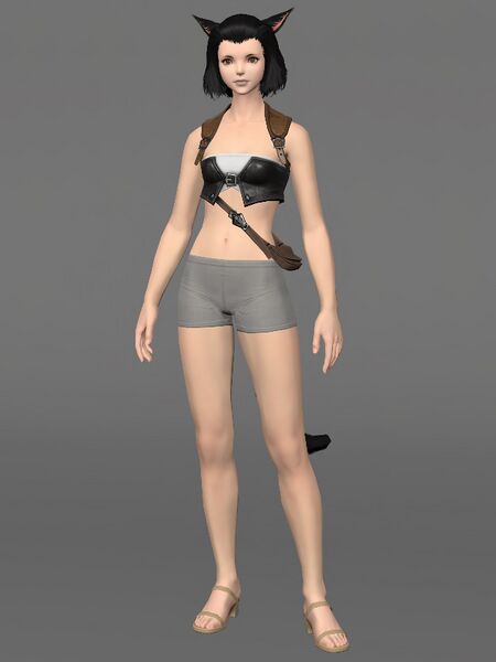 File:Miqo'te Separates Female.jpeg