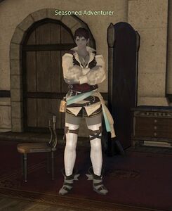 Seasoned Adventurer