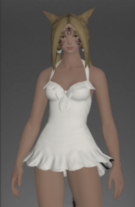 Southern Seas Swimsuit front.png