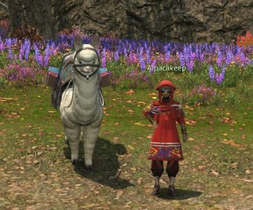 Alpacakeep (Many Fires)