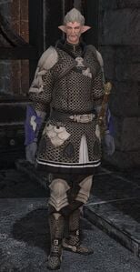 Temple Knight Gateguard