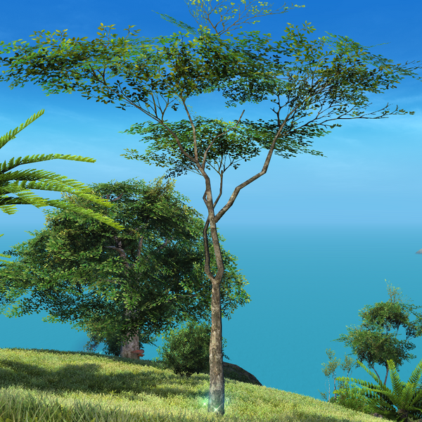 File:Tualong Tree Icon.png