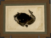 Cupfish print.png