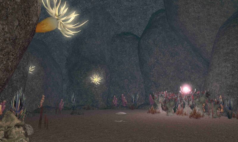 File:The Anemone Gardens.jpg