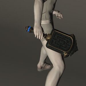 Vrandtic Visionary's Frypan