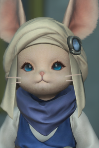 Lethargic Loporrit