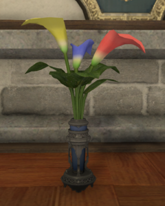 Rainbow Arums.png