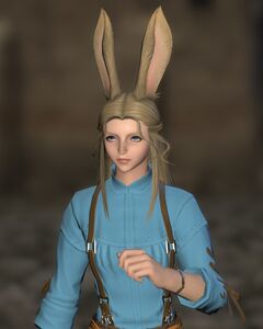 Shetona Supplier